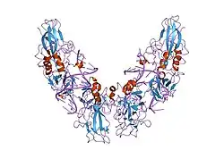 1le9: Crystal structure of a NF-kB heterodimer bound to the Ig/HIV-kB siti