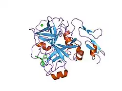 1lpk: CRYSTAL STRUCTURE OF FXA IN COMPLEX WITH 125.