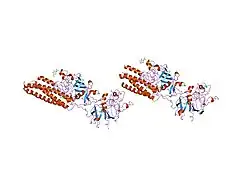 1lt9: Crystal Structure of Recombinant Human Fibrinogen Fragment D