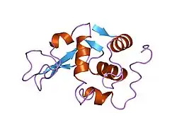 1lz4: ENTHALPIC DESTABILIZATION OF A MUTANT HUMAN LYSOZYME LACKING A DISULFIDE BRIDGE BETWEEN CYSTEINE-77 AND CYSTEINE-95
