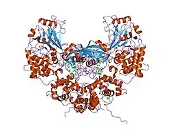 1m63: Crystal structure of calcineurin-cyclophilin-cyclosporin shows common but distinct recognition of immunophilin-drug complexes
