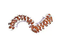 1m8x: CRYSTAL STRUCTURE OF THE PUMILIO-HOMOLOGY DOMAIN FROM HUMAN PUMILIO1 IN COMPLEX WITH NRE1-14 RNA