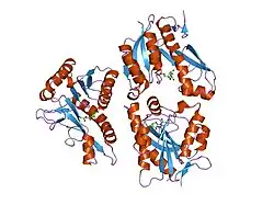 1men: complex structure of human GAR Tfase and substrate beta-GAR
