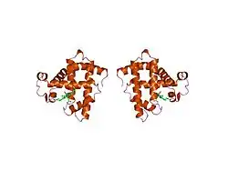 1mno: V68N MYOGLOBIN OXY FORM