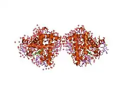 1mwd: WILD TYPE DEOXY MYOGLOBIN