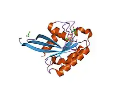 1n6h: Crystal Structure of Human Rab5a