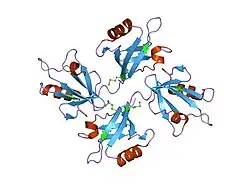 1n99: CRYSTAL STRUCTURE OF THE PDZ TANDEM OF HUMAN SYNTENIN