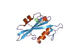 1o4h: CRYSTAL STRUCTURE OF SH2 IN COMPLEX WITH RU79072.