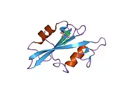 1o4i: CRYSTAL STRUCTURE OF SH2 IN COMPLEX WITH PAS219.