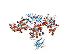 1olm: SUPERNATANT PROTEIN FACTOR IN COMPLEX WITH RRR-ALPHA-TOCOPHERYLQUINONE: A LINK BETWEEN OXIDIZED VITAMIN E AND CHOLESTEROL BIOSYNTHESIS