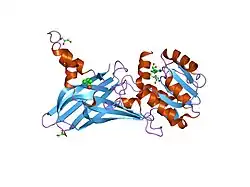 1or8: Structure of the Predominant protein arginine methyltransferase PRMT1