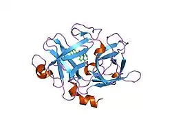 1owk: Substituted 2-Naphthamidine Inhibitors of Urokinase