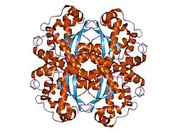 1pl4: Crystal Structure of human MnSOD Y166F mutant