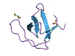 1qkw: ALPHA-SPECTRIN SRC HOMOLOGY 3 DOMAIN, N47G MUTANT IN THE DISTAL LOOP.