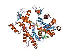 1qz5: Structure of rabbit actin in complex with kabiramide C