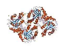 1r2r: CRYSTAL STRUCTURE OF RABBIT MUSCLE TRIOSEPHOSPHATE ISOMERASE