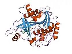 1rct: Crystal structure of human purine nucleoside phosphorylase complexed with inosine