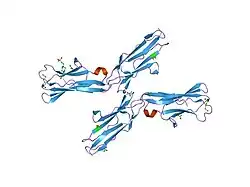 1rhf: Crystal Structure of human Tyro3-D1D2