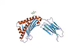 1t80: Zn-alpha-2-glycoprotein; CHO-ZAG PEG 200