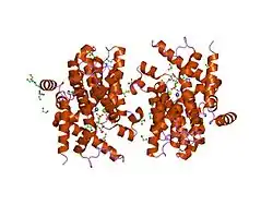 1tb7: Catalytic Domain Of Human Phosphodiesterase 4D In Complex With AMP