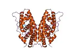 1tfc: CRYSTAL STRUCTURE OF THE LIGAND-BINDING DOMAIN OF THE ESTROGEN-RELATED RECEPTOR GAMMA IN COMPLEX WITH A STEROID RECEPTOR COACTIVATOR-1 PEPTIDE