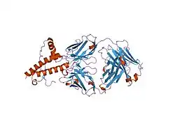 1tpx: Ovine recombinant PrP(114-234), ARQ variant in complex with the Fab of the VRQ14 antibody