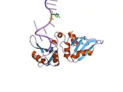1u1k: Crystal Structure of UP1 Complexed With d(TTAGGGTT 7DA GGG); A Human Telomeric Repeat Containing 7-deaza-adenine