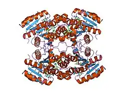 1u7t: Crystal Structure of ABAD/HSD10 with a Bound Inhibitor