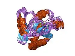 1u81: Delta-17 Human ADP Ribosylation Factor 1 Complexed with GDP