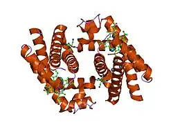 1ury: CYTOGLOBIN CAVITIES