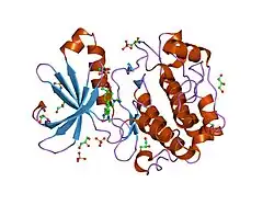 1uvr: STRUCTURE OF HUMAN PDK1 KINASE DOMAIN IN COMPLEX WITH BIM-8