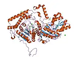1v1m: CROSSTALK BETWEEN COFACTOR BINDING AND THE PHOSPHORYLATION LOOP CONFORMATION IN THE BCKD MACHINE