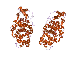 1w45: THE 2.5 ANGSTROEM STRUCTURE OF THE K16A MUTANT OF ANNEXIN A8, WHICH HAS AN INTACT N-TERMINUS.