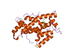 1wbe: X-RAY STRUCTURE OF BOVINE GLTP