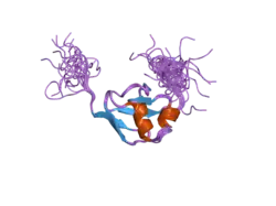 1wwt: Solution structure of the TGS domain from human threonyl-tRNA synthetase