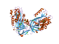 1wz9: The 2.1 A structure of a tumour suppressing serpin
