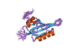 1x0o: human ARNT C-terminal PAS domain