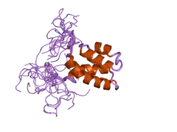 1x4q: Solution structure of PWI domain in U4/U6 small nuclear ribonucleoprotein Prp3(hPrp3)
