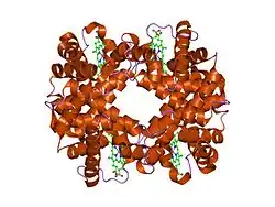 1xz2: wild-type hemoglobin deoxy no-salt