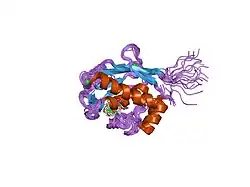 1ycm: Solution Structure of matrix metalloproteinase 12 (MMP12) in the presence of N-Isobutyl-N-[4-methoxyphenylsulfonyl]glycyl hydroxamic acid (NNGH)