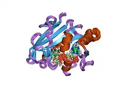 1yho: Solution structure of human dihydrofolate reductase complexed with trimethoprim and nadph, 25 structures