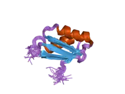 1yjv: Solution structure of the Cu(I) form of the sixth soluble domain of Menkes protein