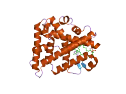 1yow: human Steroidogenic Factor 1 LBD with bound Co-factor Peptide