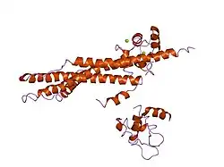 1yv0: Crystal structure of skeletal muscle troponin in the Ca2+-free state