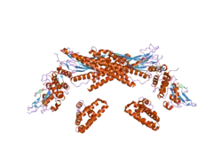 1yvl: Structure of Unphosphorylated STAT1