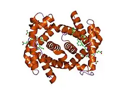 1yzi: A novel quaternary structure of human carbonmonoxy hemoglobin