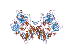 1z68: Crystal Structure Of Human Fibroblast Activation Protein alpha