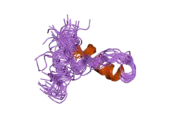 1z6v: Human lactoferricin