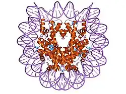1zla: X-ray Structure of a Kaposi's sarcoma herpesvirus LANA peptide bound to the nucleosomal core