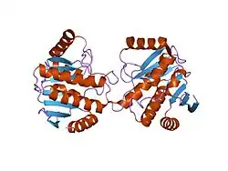 1zr5: Crystal structure of the macro-domain of human core histone variant macroH2A1.2